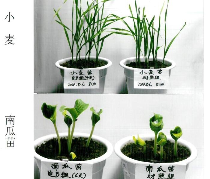 劃時代意義的電、磁、聲、波技術工程 是推動農(nóng)林業(yè)發(fā)展的主動力